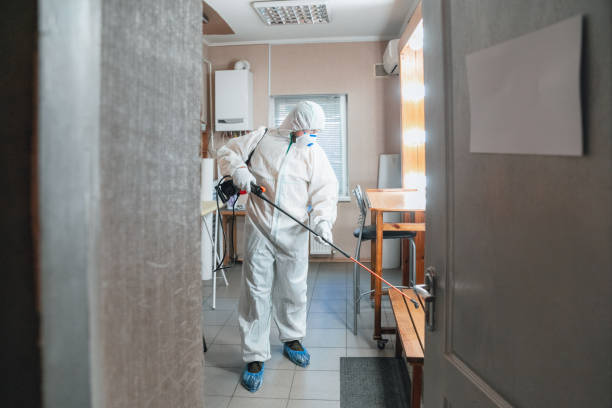 Best Mold Odor Removal Services  in Clifton, TX