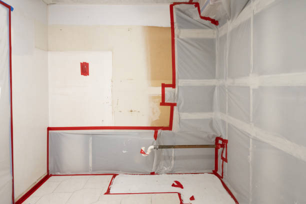 Best Environmental Consulting for Mold Prevention  in Clifton, TX