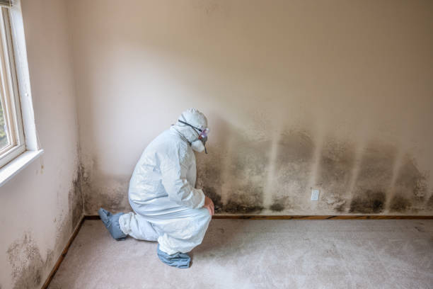 Best HVAC Mold Inspection and Cleaning  in Clifton, TX